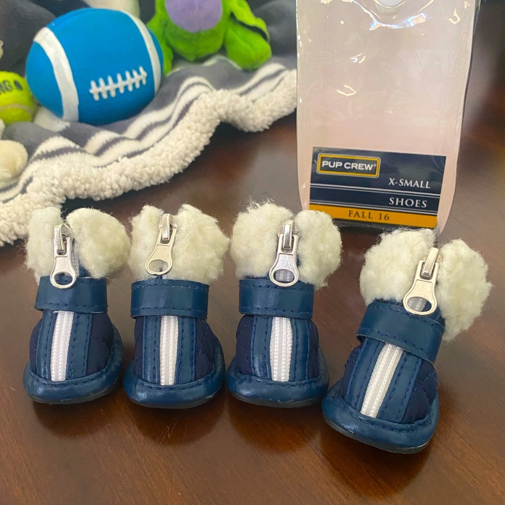 Doggie Shoes